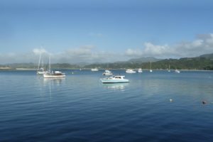 NZ Registered Electrical Contractors